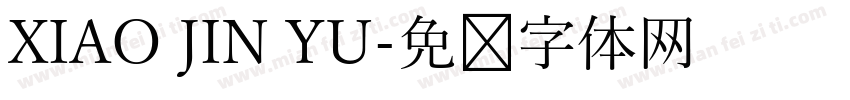 XIAO JIN YU字体转换